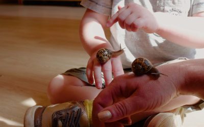 EXPLORING NATURE AT DAISY FAYS: The Benefits of Outdoor Learning